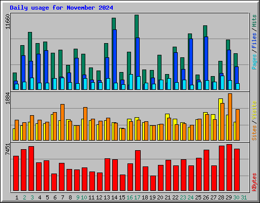 Daily usage for November 2024
