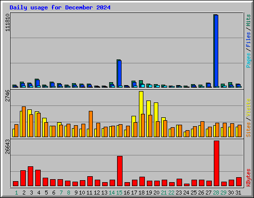 Daily usage for December 2024