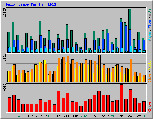 Daily usage for May 2025