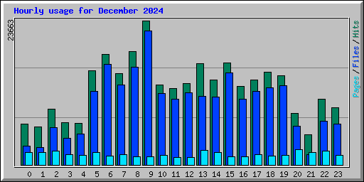 Hourly usage for December 2024