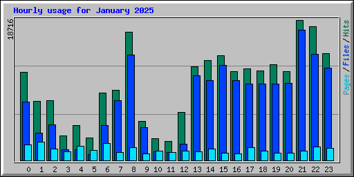 Hourly usage for January 2025