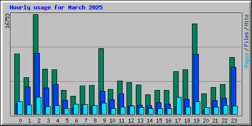 Hourly usage for March 2025