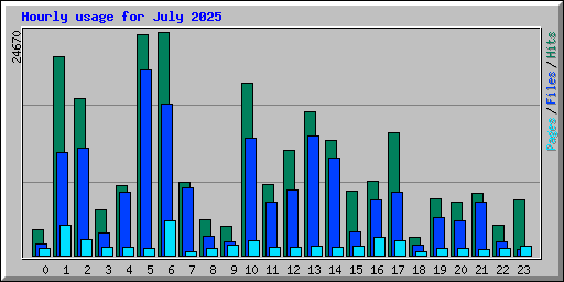 Hourly usage for July 2025